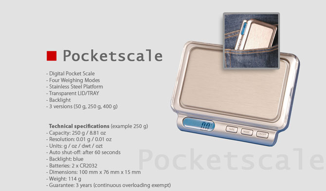 Pocketscale