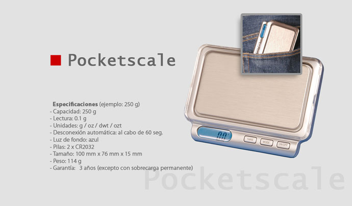 Pocketscale